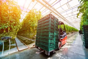 13 Trends to Optimize Food Production for the Future
